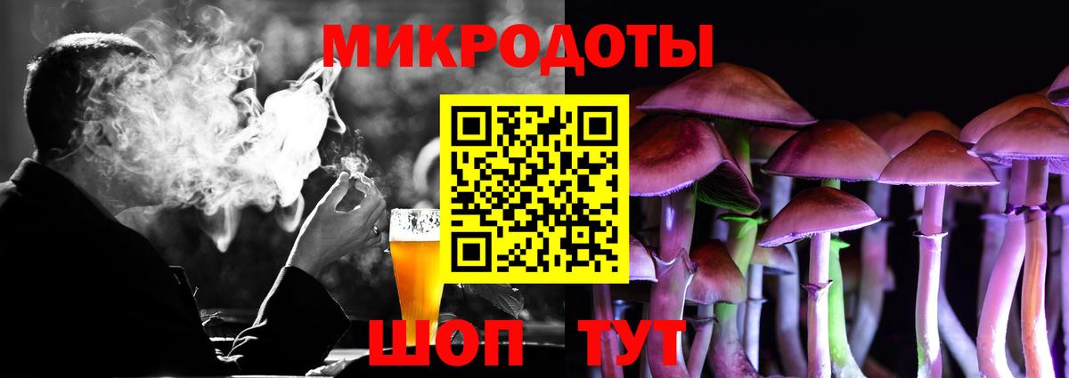 Заволжье  Псилоцибиновые грибы прущие грибы  Вход с VPN  Псилоцибиновые грибы Psilocybine cubensis 